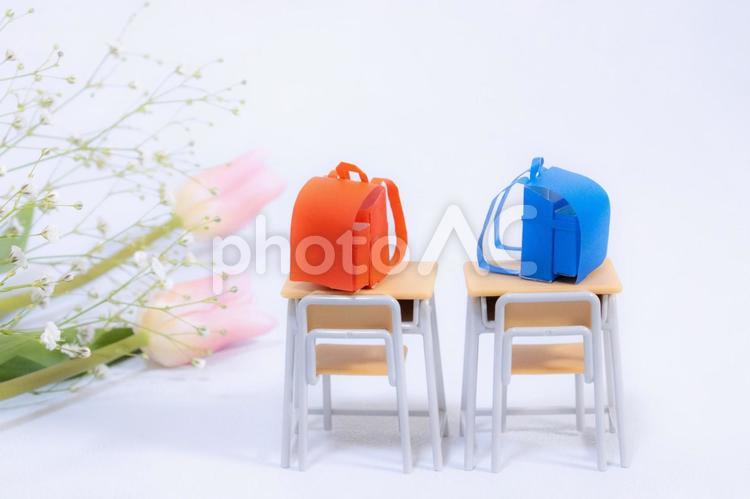 ランドセルと学校机と淡いチューリップの花 春,学校机,ランドセルの写真素材