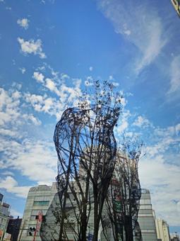 都会の空.9 空,青空,都会の写真素材