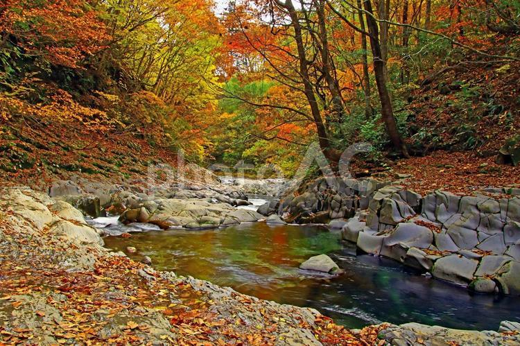 旅行や秋の大自然のイメージ 旅,旅行,観光の写真素材