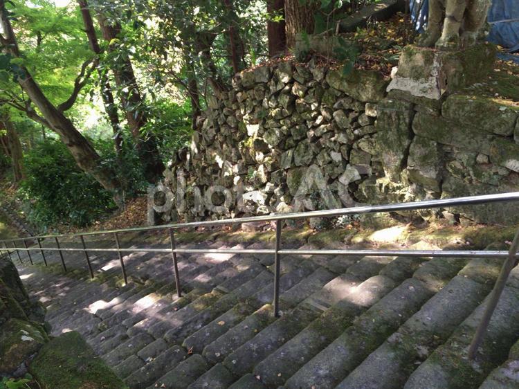 朝日寺の階段 何人もありません,光,公園の写真素材