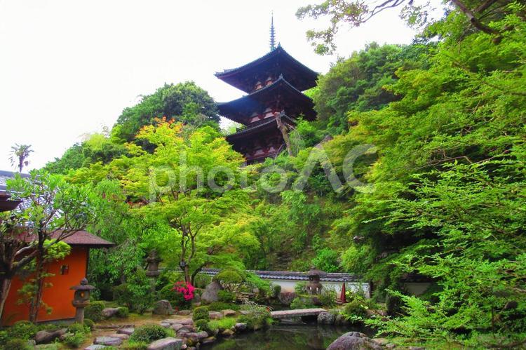 奈良県-當麻寺-中之坊-香藕園 當麻寺,寺,二上山の写真素材
