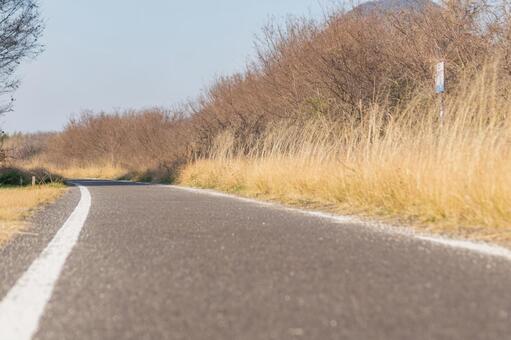 Promenade, walk, asphalt, walk, JPG