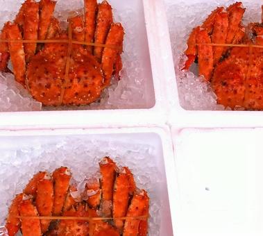 King crab, JPG