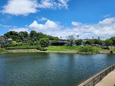 鴻ノ池01の写真