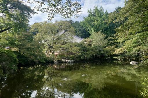 京都府-醍醐寺-大伝法院-観音堂 京都府-醍醐寺-大伝法院-観音堂の写真