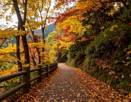 秋の山道2 秋の山道2の写真