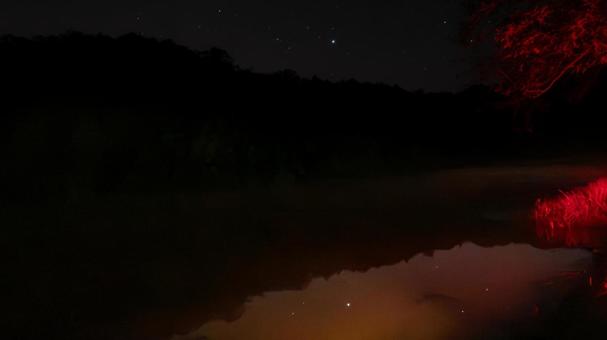 星を映す静寂の沼 沼,星空,映り込みの写真素材