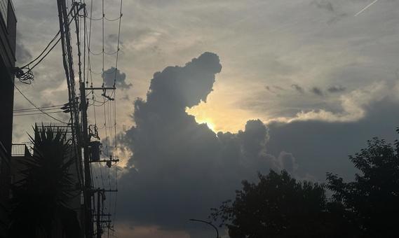 空 自然,風景,景色の写真素材