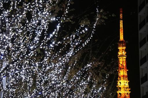 Roppongi Illumination and Tokyo Tower Roppongi Illumination and Tokyo Tower
