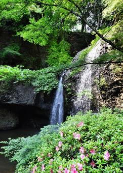 自然と滝 自然と滝の写真