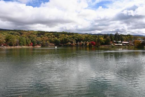 長野県の蓼科湖と湖畔の紅葉の風景の写真