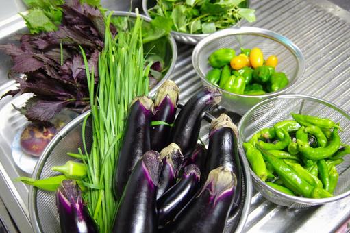 台所の調理台の上の野菜(ナス等) 台所の調理台の上の野菜(ナス等)の写真