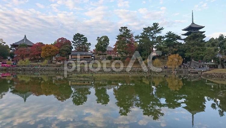 世界遺産の興福寺（五重塔と南円堂）猿沢池・奈良 興福寺,奈良,観光の写真素材