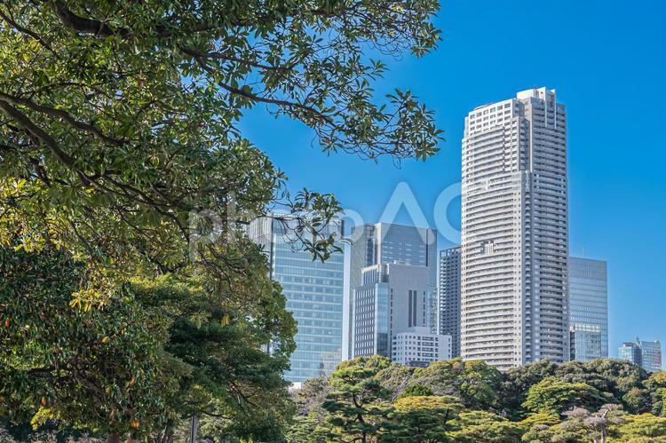 東京　浜離宮恩賜庭園の風景 東京,東京都,浜離宮恩賜庭園の写真素材