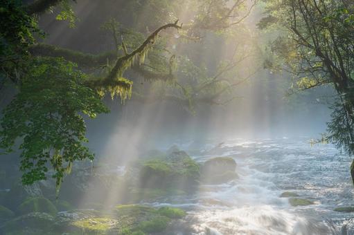 熊本-【菊池渓谷の光芒】 熊本,菊池渓谷,川の写真素材