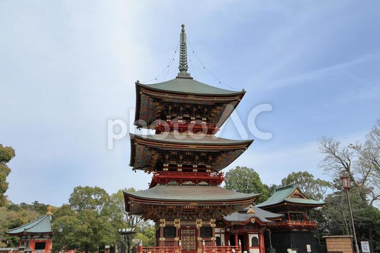 成田山新勝寺の三重塔 2 成田山新勝寺,成田山新勝寺三重塔,成田市の写真素材