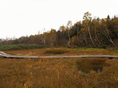 秋の高原 秋の高原の写真