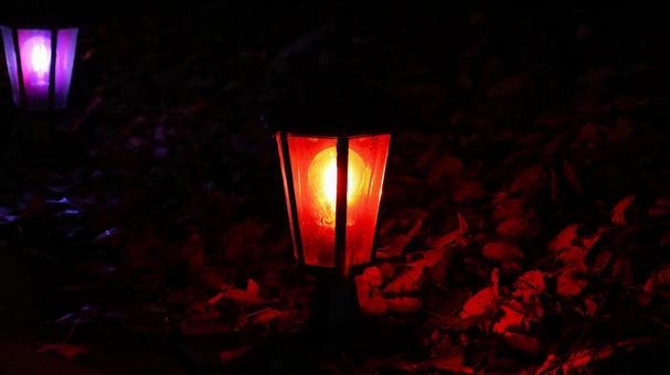 虹の郷　イルミネーション（行燈） イルミネーション,クリスマス,夜景の写真素材