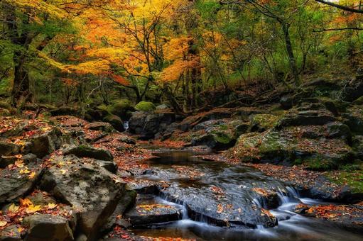 マゼノ渓谷 渓谷,紅葉,自然の写真素材