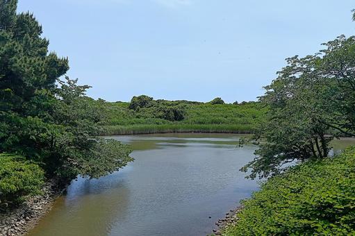 遠州浜公園 遠州浜公園 風景,景色,晴れの写真素材