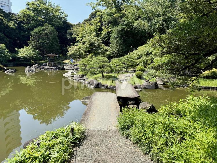 旧古河庭園　旧古河邸　日本庭園　7月 旧古河庭園,旧古河邸,池の写真素材
