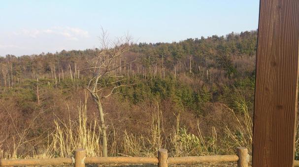 晩秋の山を行く 晩秋の山を行く 山,林,秋の写真素材