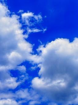 Photo, summer, blue sky, sunny, 