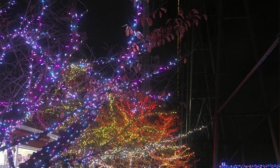 木にカラフルなイルミネーション イルミネーション,カラフル,ledの写真素材