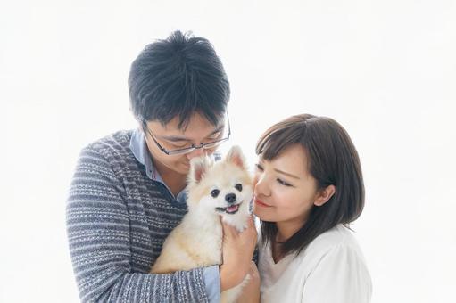 ライフスタイル ライフスタイル 愛護,仕事,ペットショップの写真素材