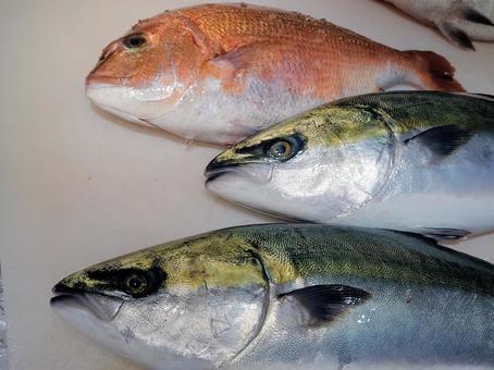 鯛とハマチ 鮮魚,魚,魚屋の写真素材