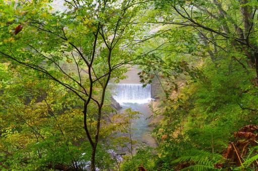 鳴子峡の紅葉 鳴子峡,紅葉,渓谷の写真素材
