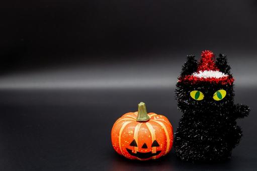 ジャックオランタンと黒猫 ジャックオランタンと黒猫 ハロウィン,秋,カボチャの写真素材