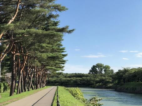 五稜郭公園 五稜郭公園 自然,屋外,お濠の写真素材
