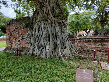 アユタヤ 首のない仏像 アユタヤ,海外,旅の写真素材