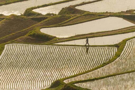 佐賀-【土谷棚田の夕景】 佐賀-【土谷棚田の夕景】 佐賀県,佐賀,松浦市の写真素材