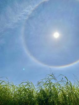 沖縄の夏空 ハロ 日暈 沖縄の夏空 ハロ 日暈の写真
