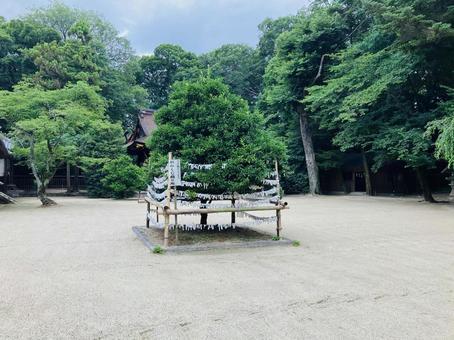 廣瀬大社 おみくじ結び所 廣瀬大社 おみくじ結び所 廣瀬大社,奈良県北葛城郡,二十二社の写真素材