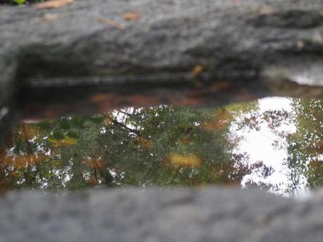 水に映った景色 水に映った景色の写真