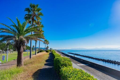 静岡県　広野海岸公園の風景 静岡,静岡県,静岡市の写真素材