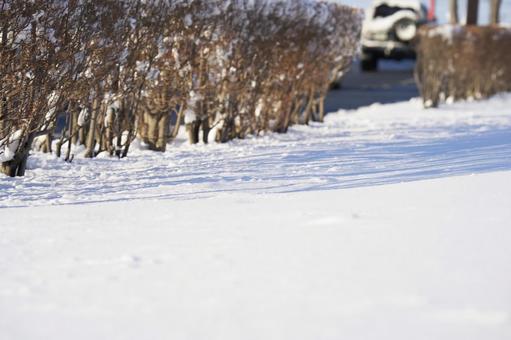 雪道の写真