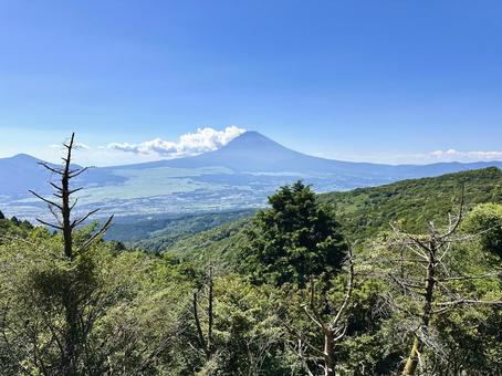 箱根から見る富士山 富士山,山,箱根の写真素材