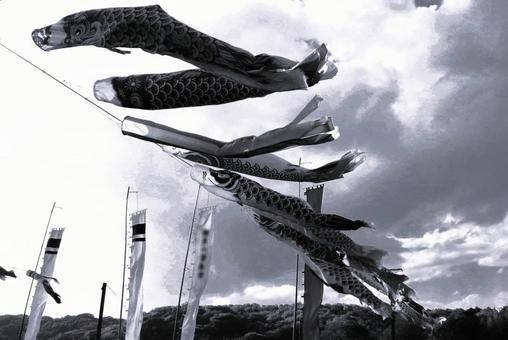 鯉のぼり　モノクロ 鯉のぼり,モノクロ,空の写真素材