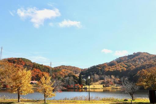 紅葉　長野県　聖湖 紅葉,湖,長野県の写真素材