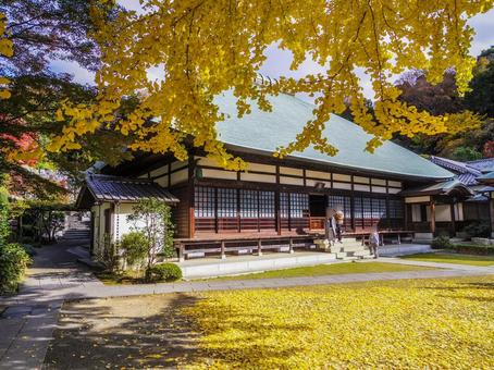 【神奈川県】鎌倉市・浄妙寺 【神奈川県】鎌倉市・浄妙寺 浄妙寺,鎌倉五山,秋の写真素材
