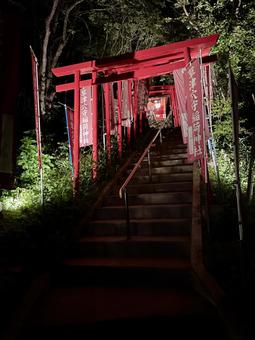 草津穴守稲荷神社 草津穴守稲荷神社の写真