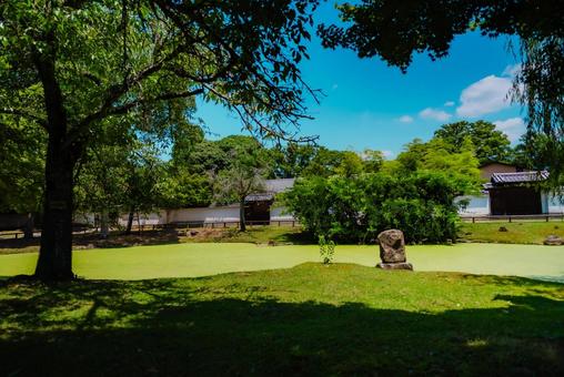 【奈良】奈良のお寺巡り 2025 【奈良】奈良のお寺巡り 2025 奈良,東大寺,2025の写真素材