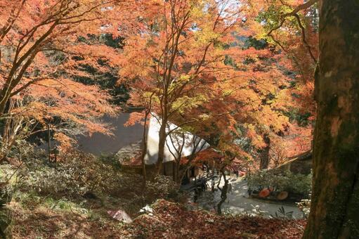 室生寺 室生寺,金堂,女人高野の写真素材