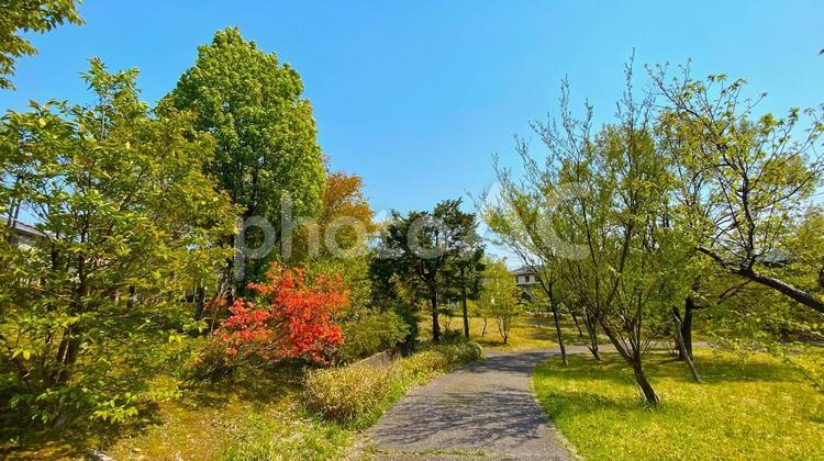 緑の公園（金沢　太陽が丘） 公園,緑,住宅街の写真素材