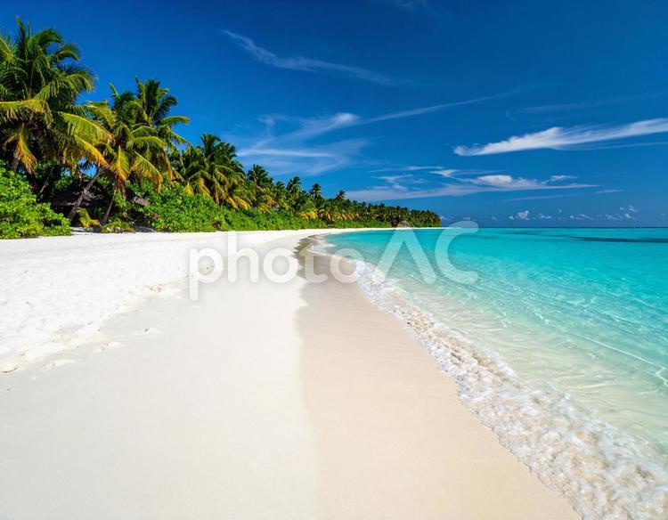 透明な海と白砂のビーチ ビーチ,海,砂浜の写真素材