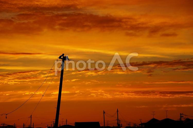 燃えるような夕焼け 夕焼け,空,自然の写真素材